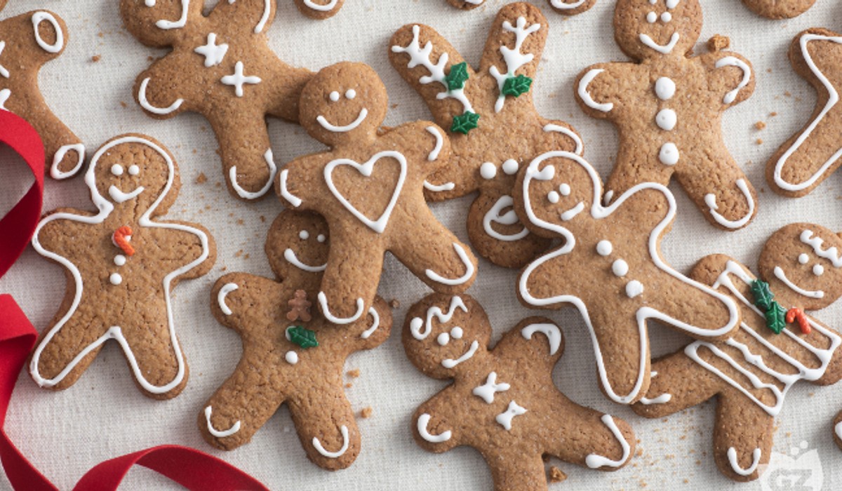 Pan Di Zenzero New Import